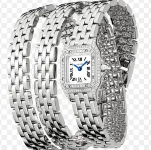 レディースカルティエパンテールドカルティエWJPN0011